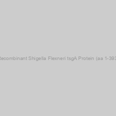 Image of Recombinant Shigella Flexneri tsgA Protein (aa 1-393)